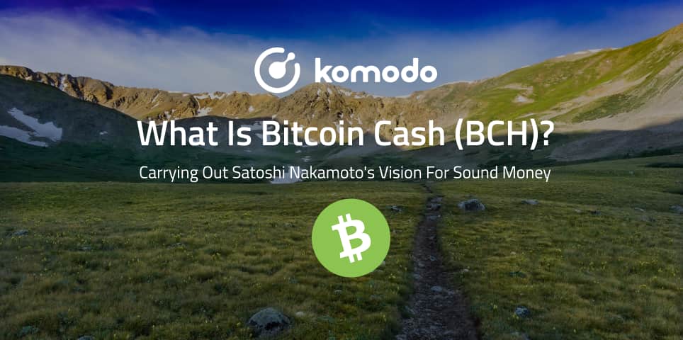 What Is Bitcoin Cash (BCH)?