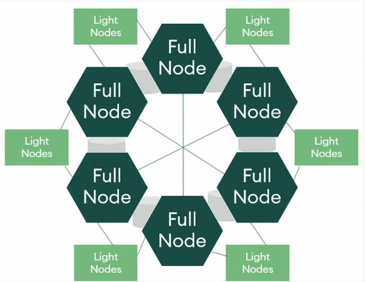 Full nodes vs. light nodes