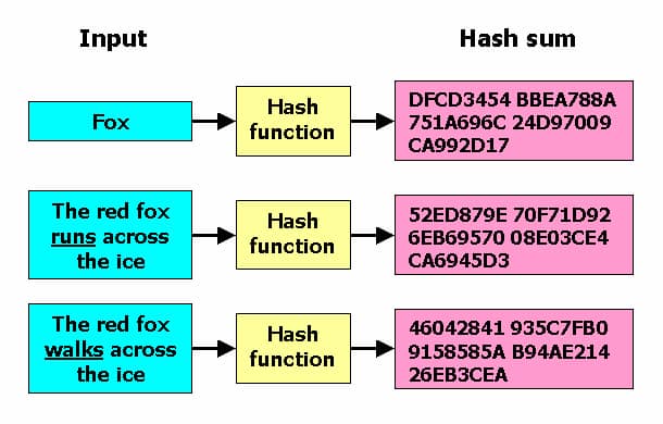 Cryptographic hash functions