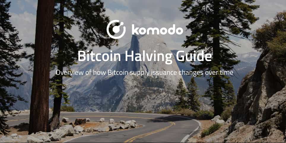 Bitcoin Halving Guide for Beginners