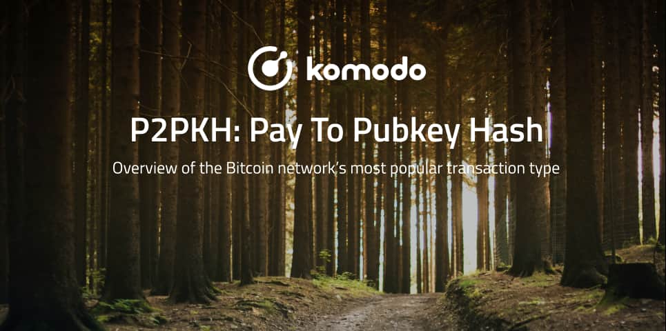 P2PKH: Pay To Pubkey Hash Explained