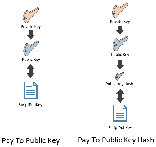 Click the key. Public Key. Program hash image.