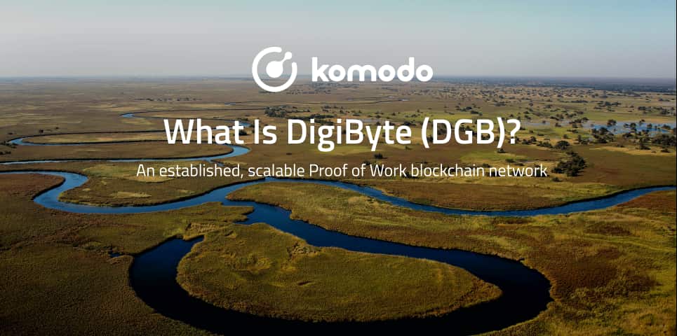 What Is DigiByte? P2P Solution for Crypto Transactions