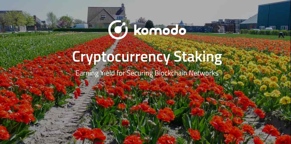 Crypto Staking - Earn Yield for Securing a Blockchain