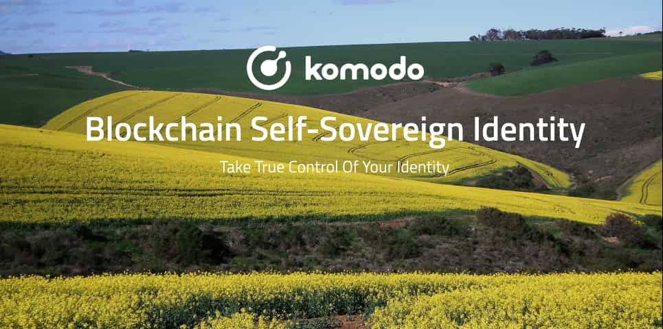 Blockchain Self-Sovereign Identity: True Control Of Your Identity