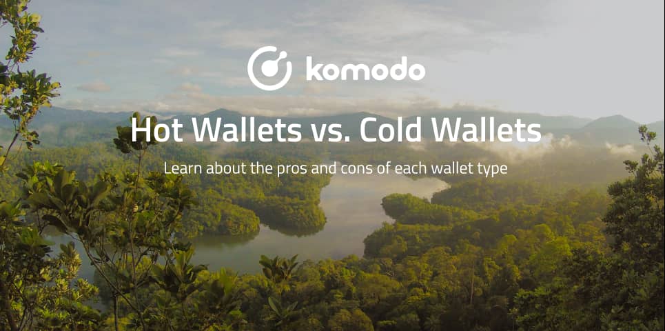 Hot Wallets vs. Cold Wallets