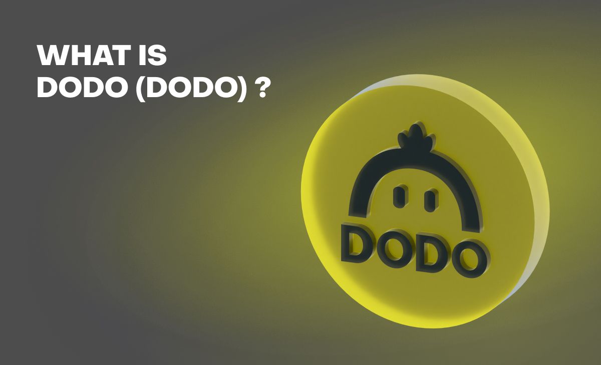 DODO: Everything You Need To Know