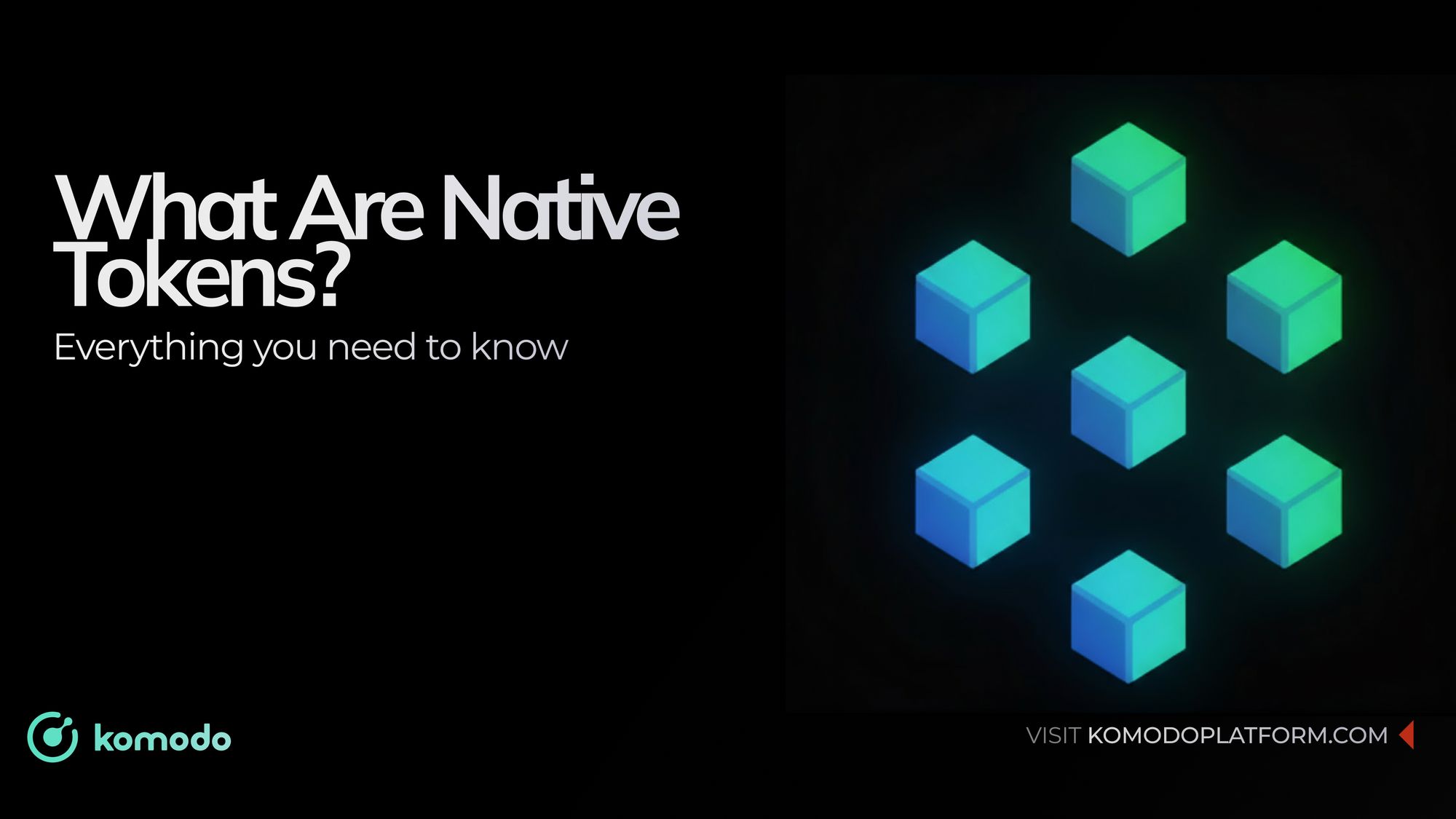 What Are Native Tokens? Understanding the Backbone of Blockchain Networks
