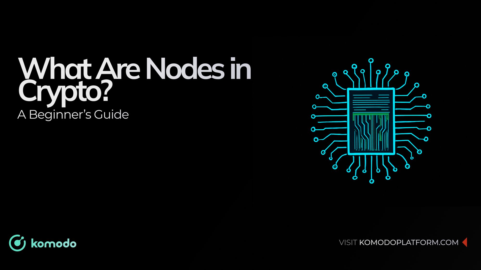What Are Nodes in Crypto?