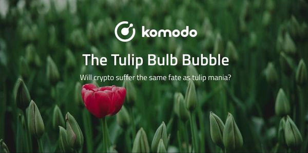 tulip price crypto