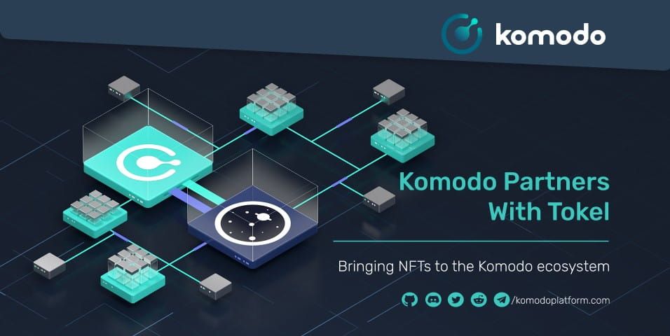 Komodo And Tokel Form Strategic Partnership