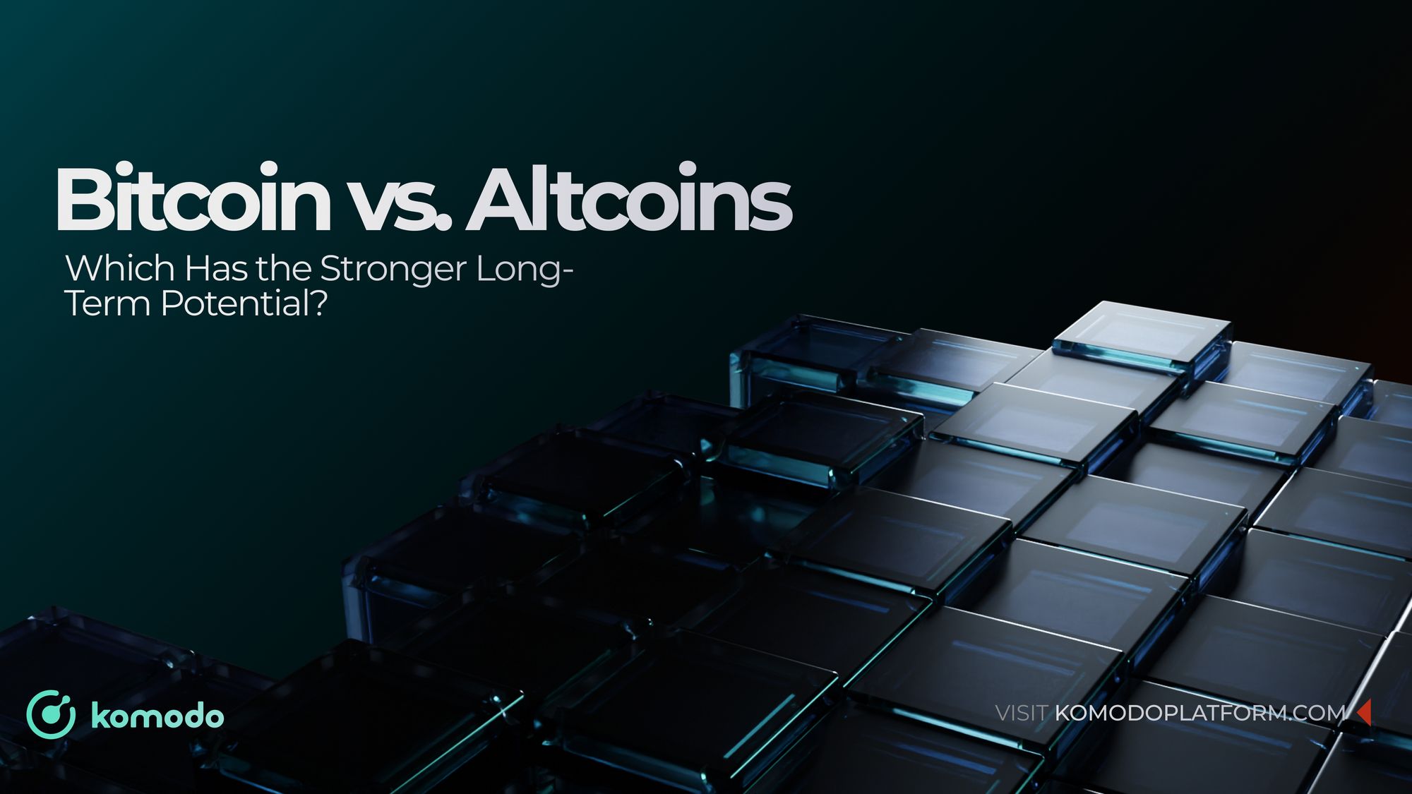 Bitcoin vs. Altcoins: Which Has the Stronger Long-Term Potential?